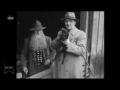 Norddeutsche Geschichte(n) - Traditionelle Lüneburger Heide Doku (1956)