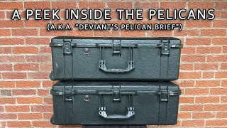 A Peek Inside the Pelicans  (a.k.a. "Deviant's Pelican Brief")  😉