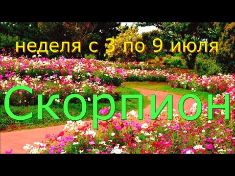 СКОРПИОН ♏️неделя с 3 по 9 июля.