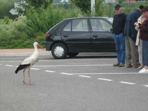 22_Mr.Tools feat. Mc Bbo - HeY Paul Ragga Remix