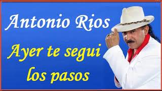 Ayer Te Segui Los Pasos Lyrics English Translation