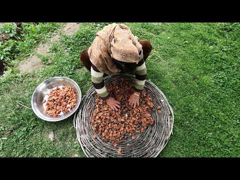 LIFE IN HUNZA | GILGIT BALTISTAN - PAKISTAN