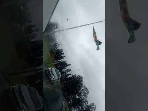 Se te vuelan las banderas