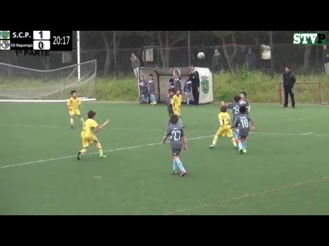 Sporting Clube Portugal / CD reguengo