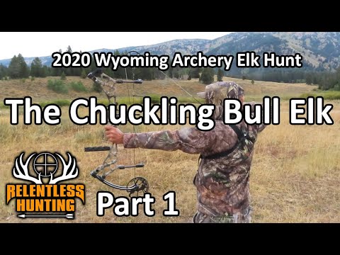 PART 1: 2020 Wyoming archery elk hunt. Lots of wildlife, bugling, and the chuckling elk.
