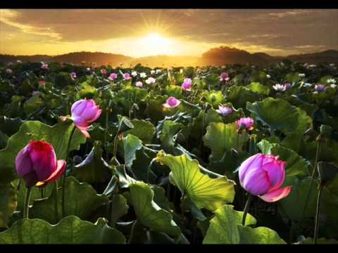 Slower Daimoku Nam Myoho Renge Kyo