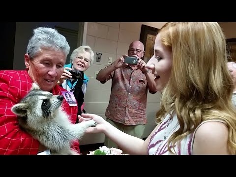Jackie Evancho sings to Trouper the blind raccoon