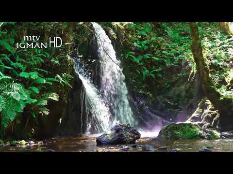 RAMAZANSKA DOVA 9. DAN - MTV IGMAN