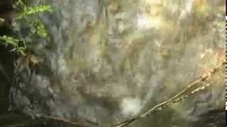 Just a little bit of love