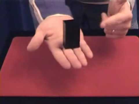 Ghost Pet @dynamitemagicshop