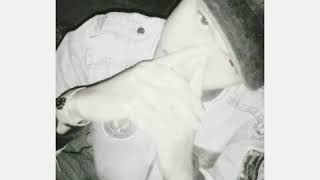 Download lagu SnapGram & WhatsApp! (Aldy Maldini - Biar Aku Yang Pergi) mp3 Download lagu SnapGram & WhatsApp! (Aldy Maldini - Biar Aku Yang Pergi) mp3