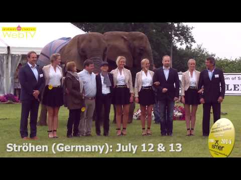 Ströhen 2014 - Promo