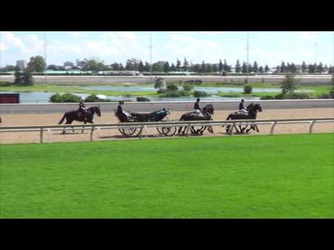 Driving Postilion at the 2017 Queens plate