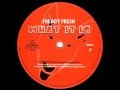 freddy fresh - what it is (the freestylers extented mix)
