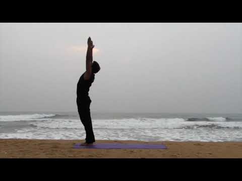 Vishnu Sharma yoga video ( Voice over, Background music)