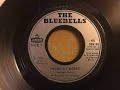 The Bluebells Young At Heart Lyrics