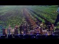 John Mellencamp - Check it Out (Live at Farm ...