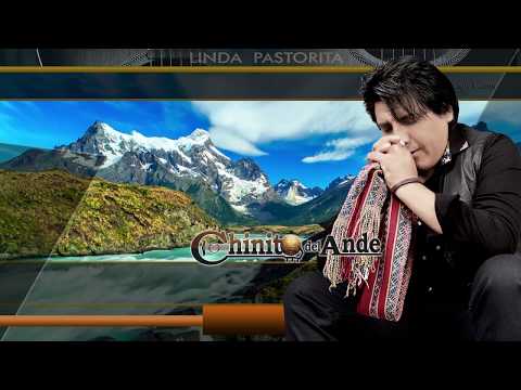 Chinito Del Ande - Linda Pastorita / Primicia 2018