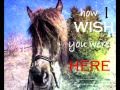 W Ish You Were HERE