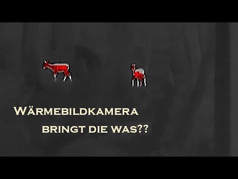 Wärmebildkamera für die Tierfotografie - ist sie wirklich hilfreich?