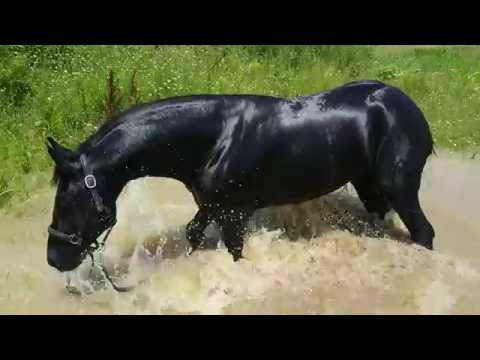 Kalinda la aqua park