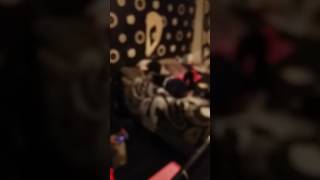 Lil man demz doing the challenge