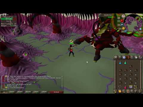 [BattleScape] Abyssal Sire Guide