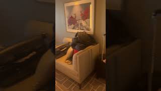 Celebrity Ascent Sunset Veranda 12305