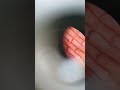 Onion peel under Microscope