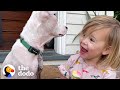 2-Year-Old Girl Convinces Her Mom To Adopt A Deaf Puppy | The Dodo Adoption Day