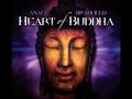 ANAEL  & BRADFIELD ~ Heart of Buddha [Track #9]