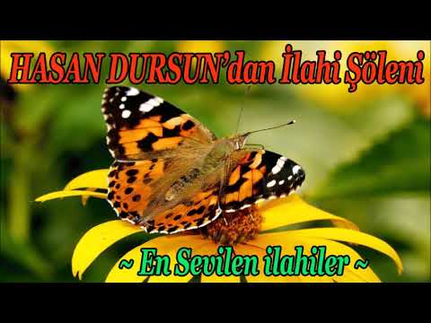 Hasan Dursun'dan İlahi Şöleni 🦋 En Kıymetli ilahiler Dinle 🦋 Karışık İlahiler🦋 En Sevilen ilahiler 🦋