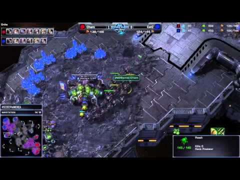 Catz vs Cham G2 - Copa America