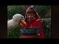 Here Comes Barney Stop Look And Be Safe Theme Song PBS