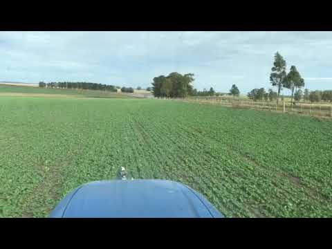 NEW HOLLAND T6050 ,AMAZONE