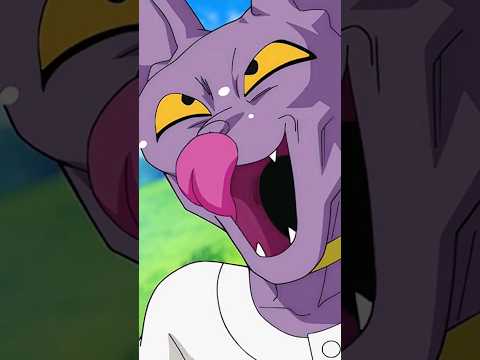 Bills tira sarro de shampa! chora gordão.#dragonball #bills #goku #shampa #shorts #short #shortvideo