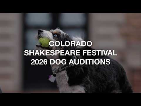 Colorado Shakespeare Festival 2026 Dog Auditions