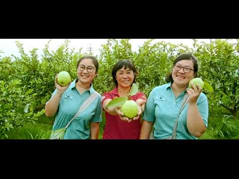 臺灣農業鏈結世界 30秒