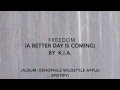A Better Day Is Coming  (Freedom) by K.I.A.