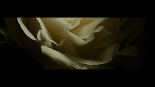 Music video thumbnail preview for The Canyon Observer - Kri (Official Video) by The Canyon Observer