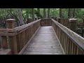 Dawn Patrol Part 2