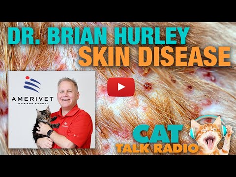 Cat Talk Radio - with Dr. Brian Hurley on Skin Disease in Cats
