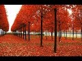 George Cables -  LTD  (Long Tall Dexter)