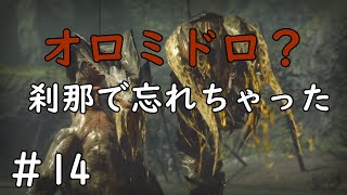 【MHRise】一瞬で忘れる男#１4【ガンランス】
