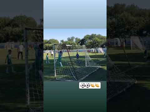 Minijatura videozapisa