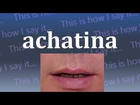 This is How I Say...achatina