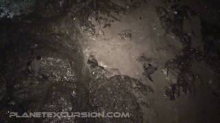 preview picture of video 'Opération tortues_Playa Avellanas_1.f4v'