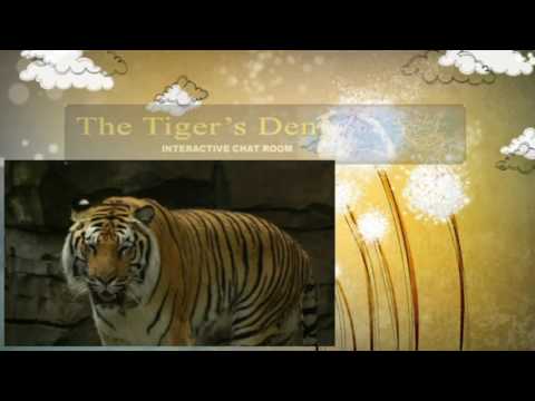 January 18th Power Trading Hour with David White on TFNN   2017