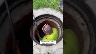 Roaches Crawl Over Manhole Worker #shorts