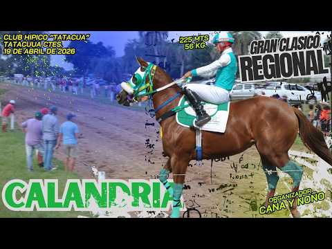 CALANDRIA... Clásico Regional - Hipico Tatacua 19/04/2026 -